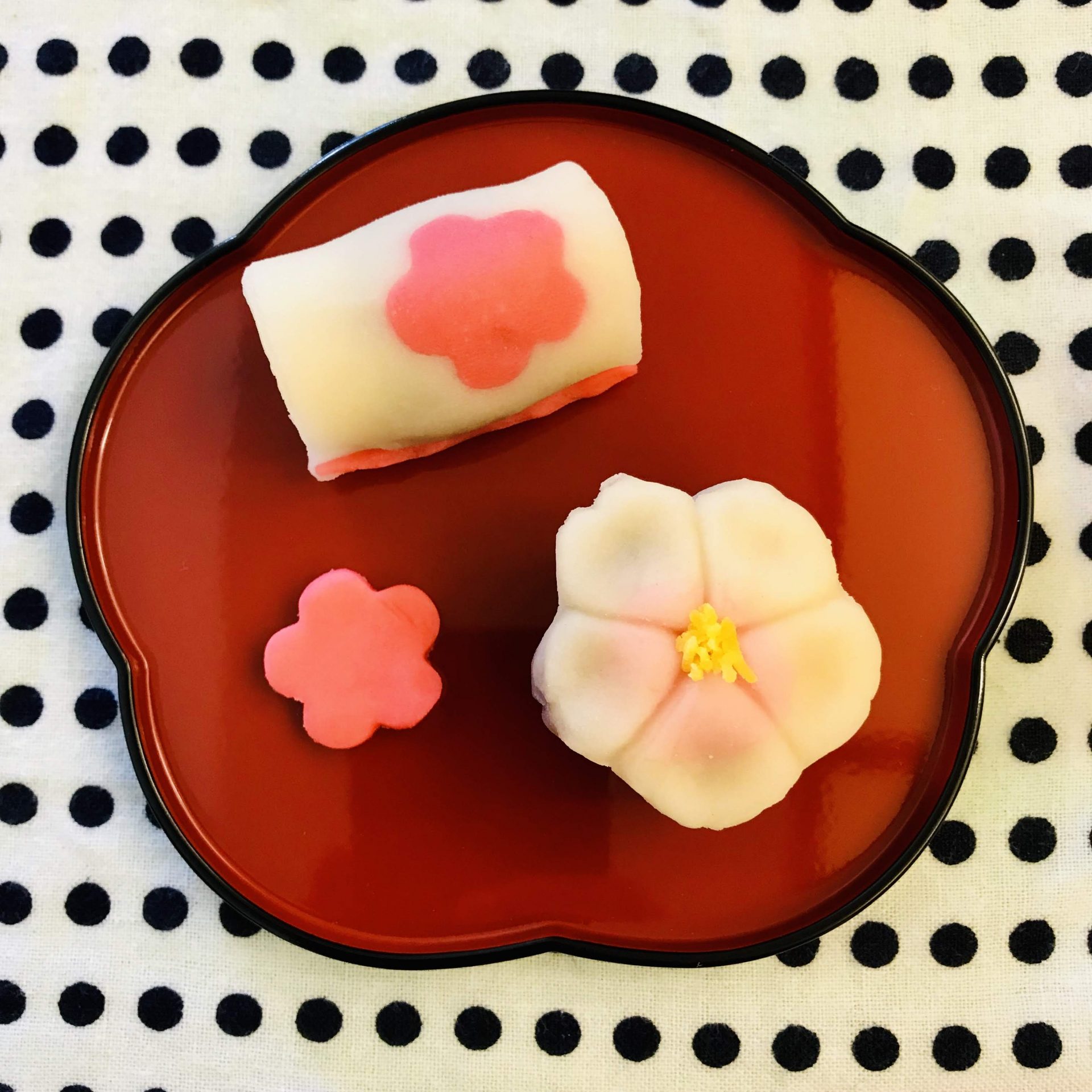 Wagashi (Japanese Sweets) Beauty You Can Eat EATwithOHASHI